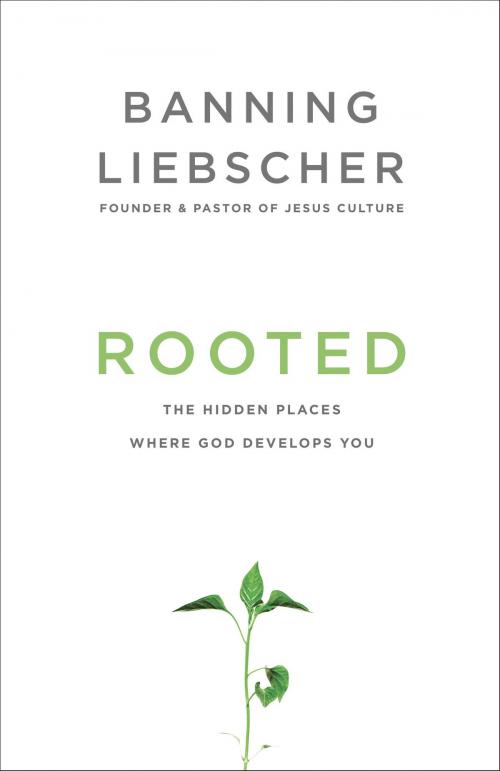 Cover of the book Rooted by Banning Liebscher, The Crown Publishing Group