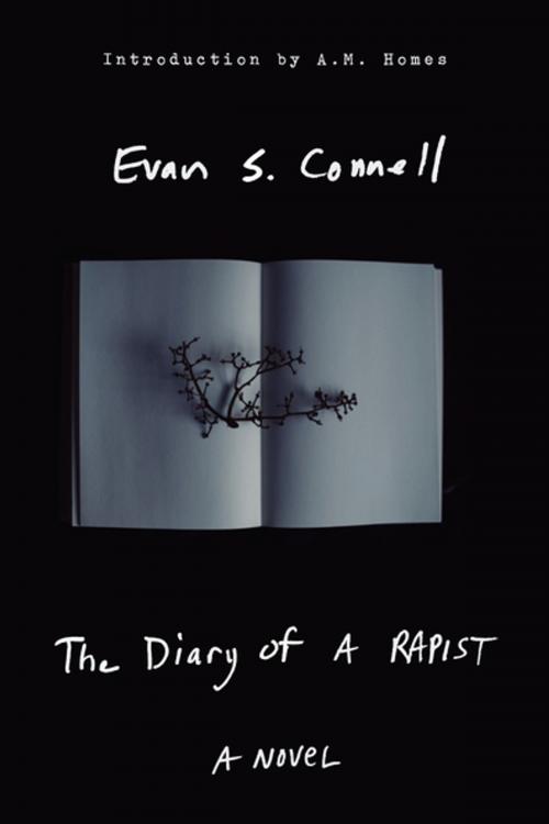 Cover of the book The Diary of a Rapist by Evan Connell, Counterpoint