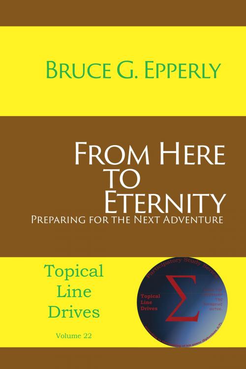 Cover of the book From Here to Eternity by Bruce G. Epperly, Energion Publications