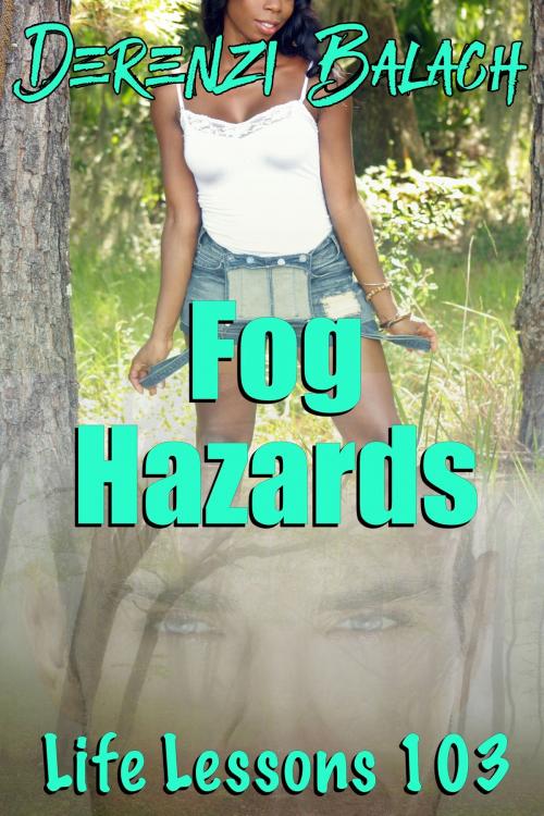 Cover of the book Fog Hazards by Derenzi Balach, DZRB Books