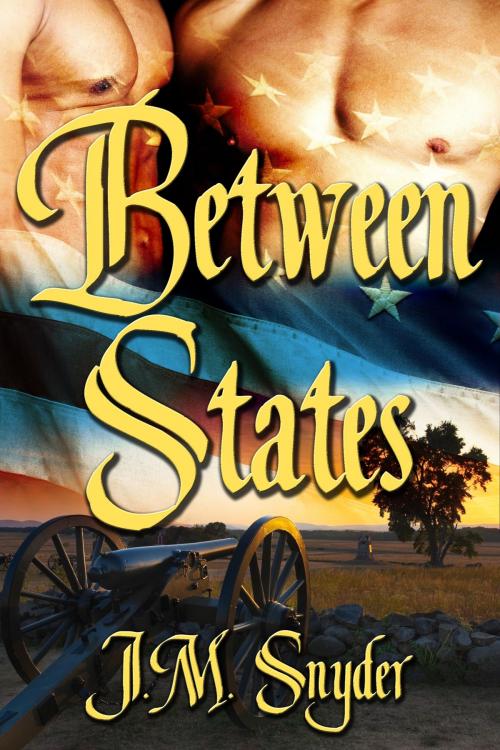 Cover of the book Between States Box Set by J.M. Snyder, JMS Books LLC