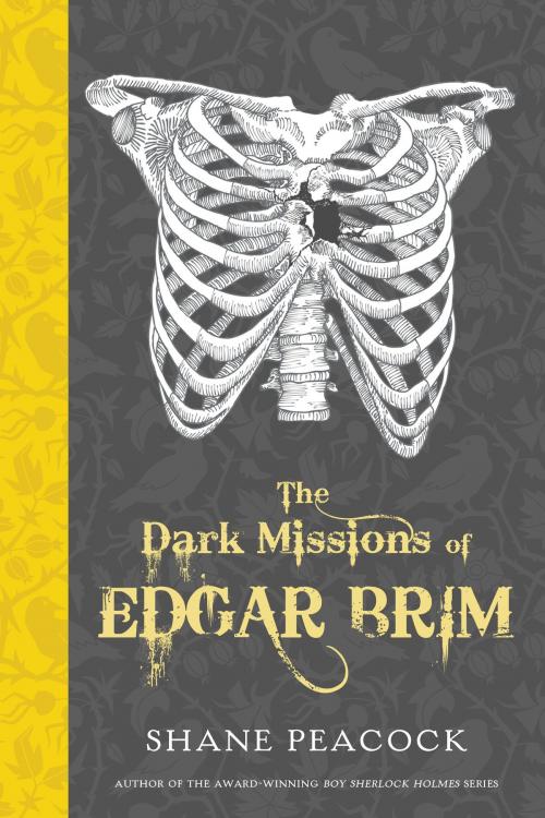 Cover of the book The Dark Missions of Edgar Brim by Shane Peacock, Tundra