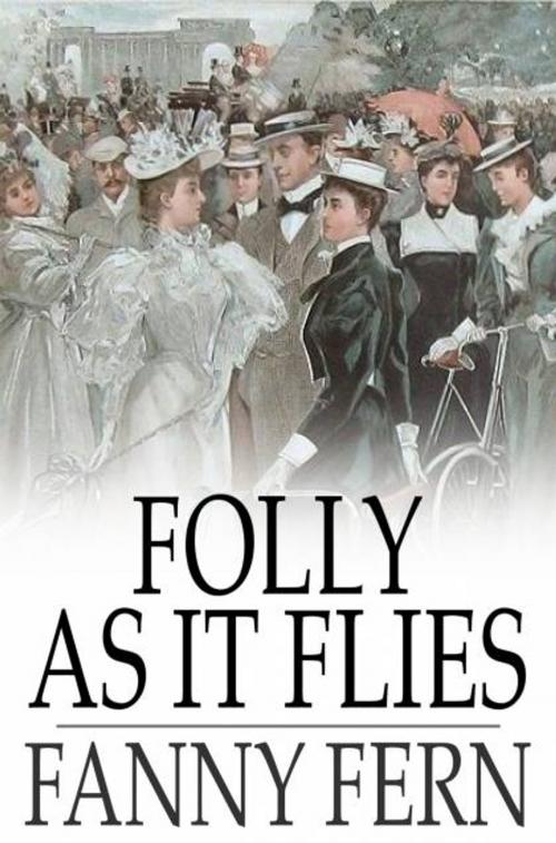 Cover of the book Folly as It Flies by Fanny Fern, The Floating Press