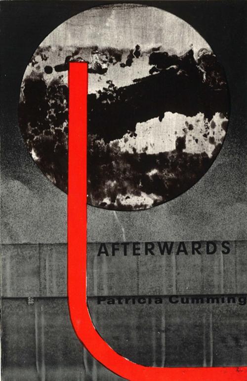 Cover of the book Afterwards by Patricia Cumming, Alice James Books