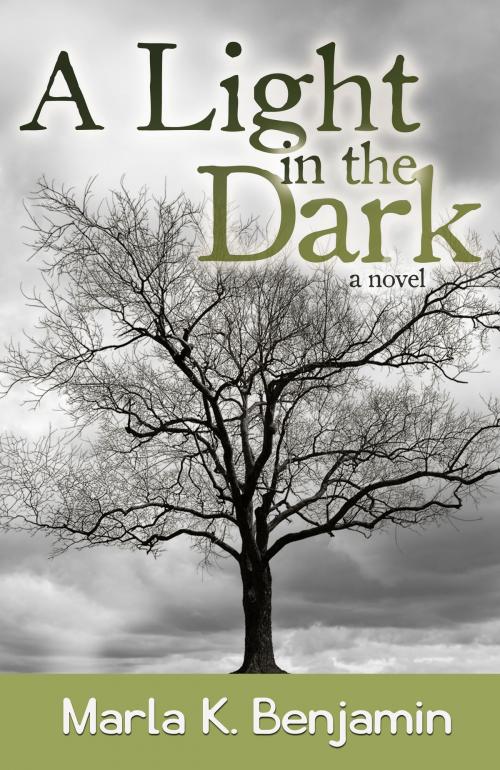 Cover of the book A Light in the Dark by Marla Benjamin, BQB Publishing