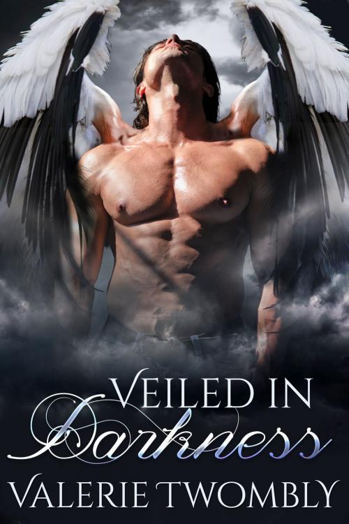 Cover of the book Veiled In Darkness by Valerie Twombly, Valerie Twombly