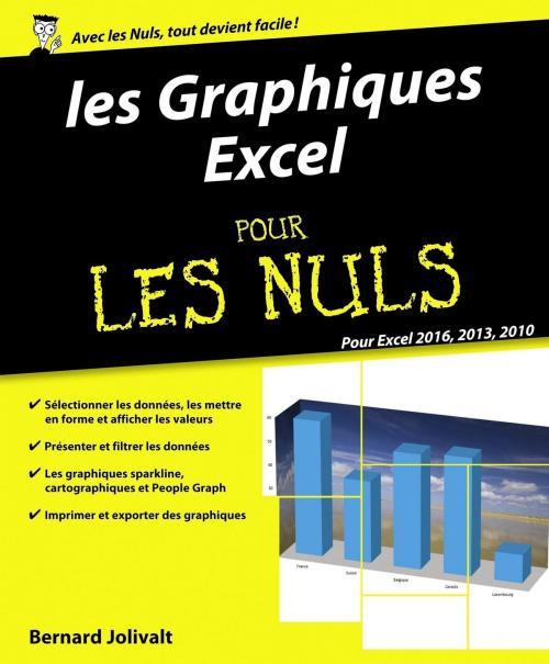 Cover of the book Graphiques Excel 2010, 2013 et 2016 pour les Nuls by Bernard JOLIVALT, edi8