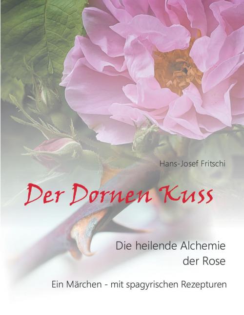 Cover of the book Der Dornen Kuss by Hans-Josef Fritschi, Books on Demand