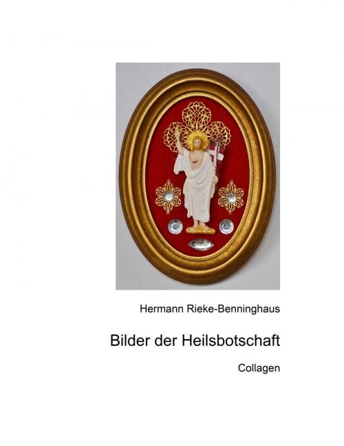 Cover of the book Bilder der Heilsbotschaft by Hermann Rieke-Benninghaus, Books on Demand