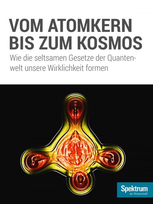 Cover of the book Vom Atomkern bis zum Kosmos by , Spektrum der Wissenschaft