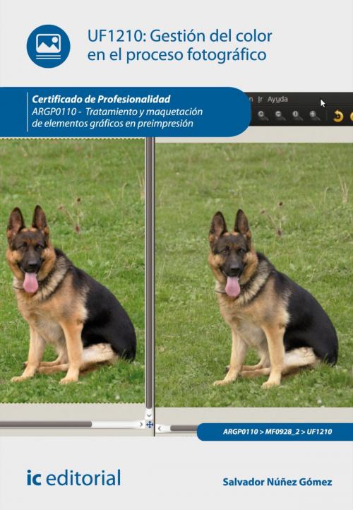Cover of the book Gestión del color en el proceso fotográfico by Salvador Núñez Gómez, IC Editorial