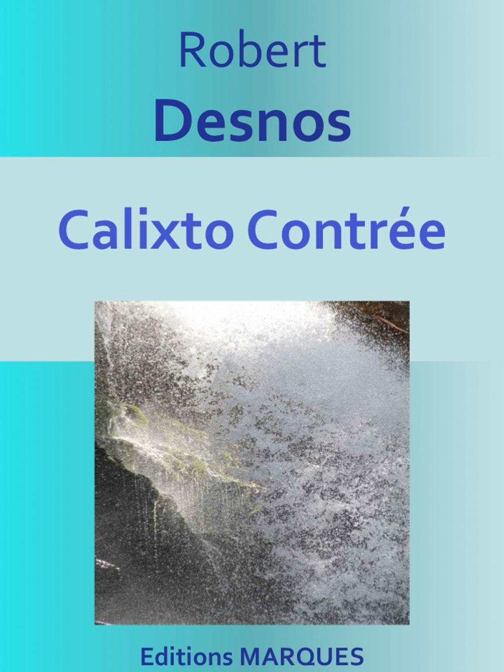 Big bigCover of Calixto Contrée