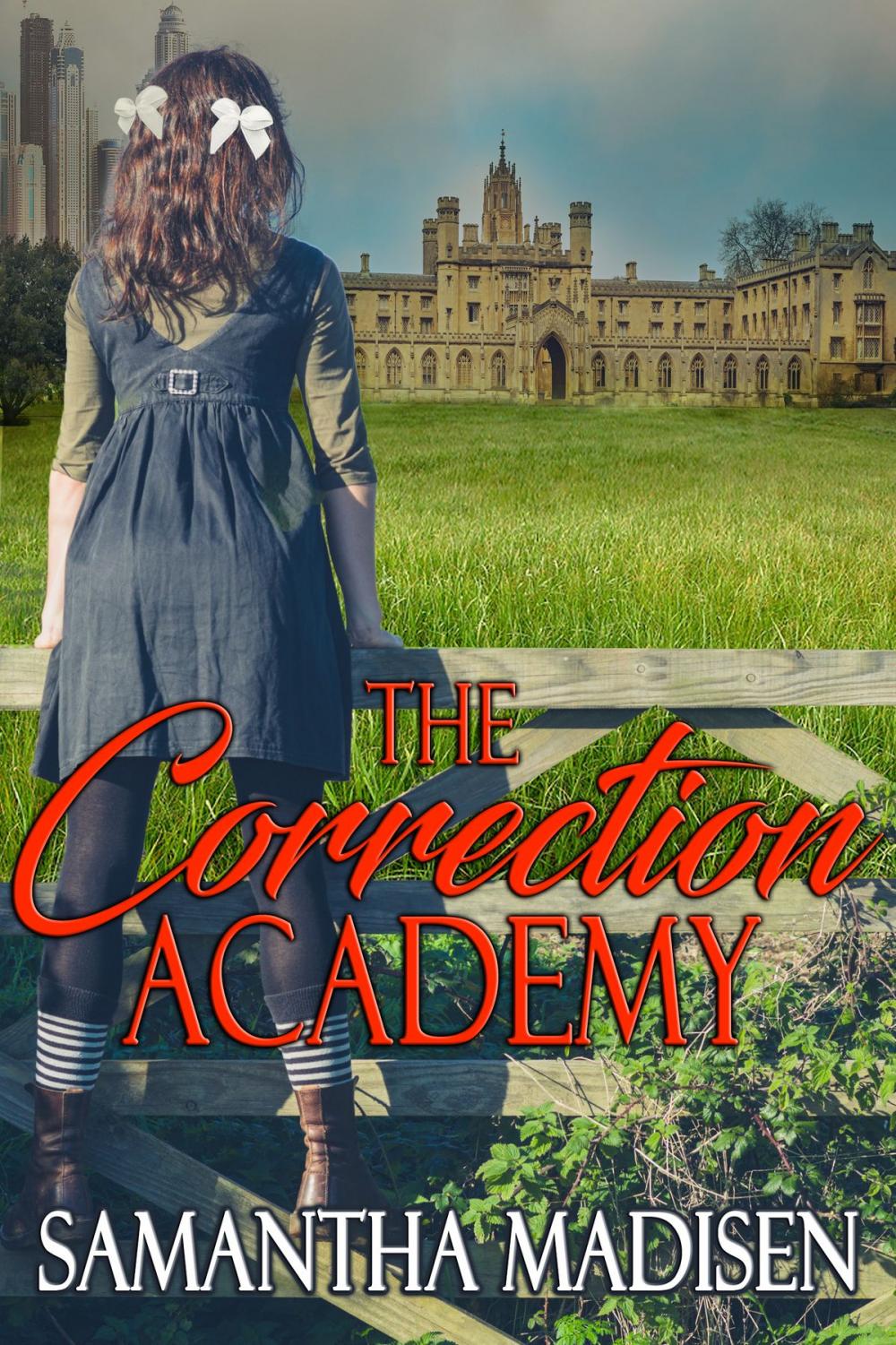 Big bigCover of The Correction Academy