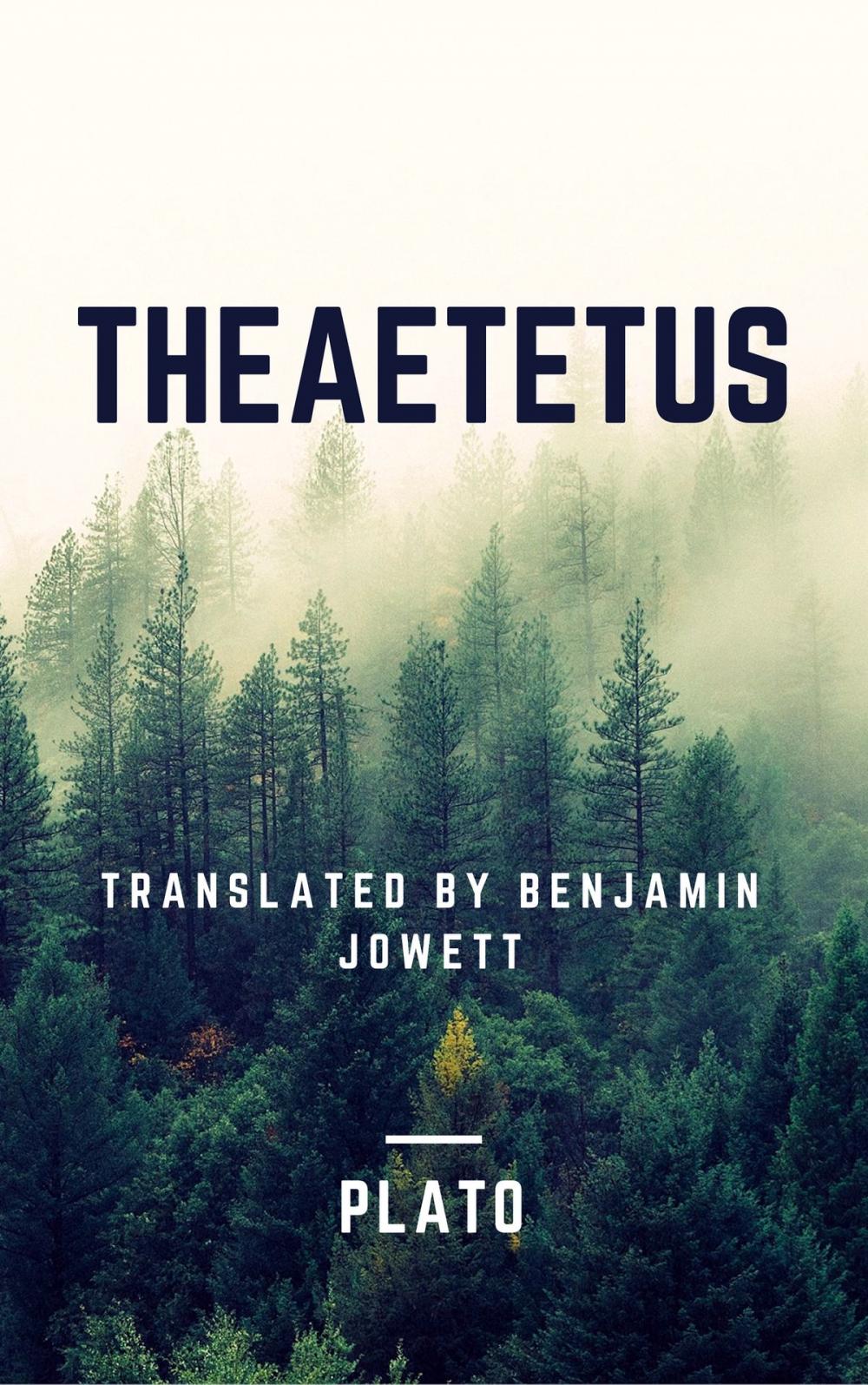 Big bigCover of Theaetetus (Annotated)