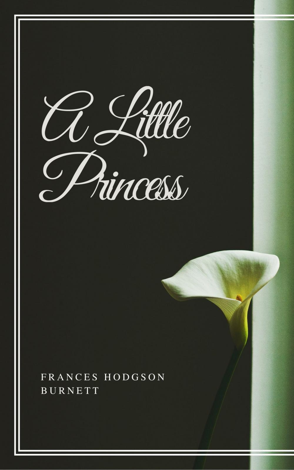 Big bigCover of A Little Princess (Annotated & Illustrated)