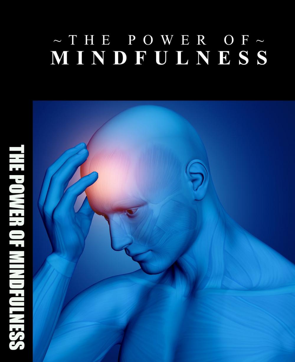 Big bigCover of The Power of Mindfulness