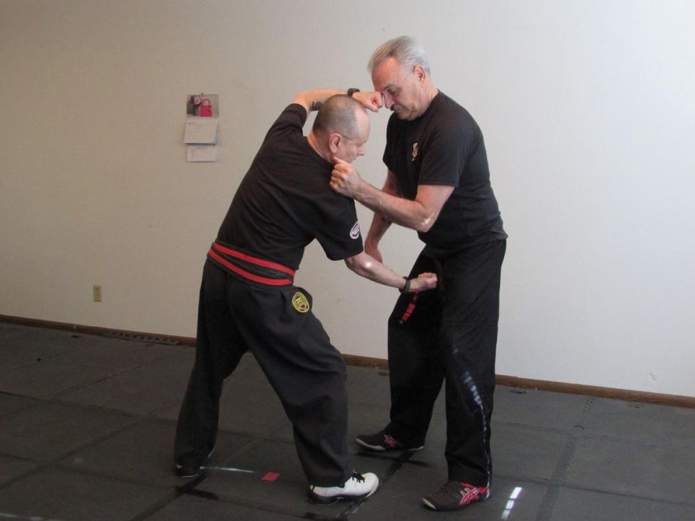 Big bigCover of AKJ-American Kenpo self-defense