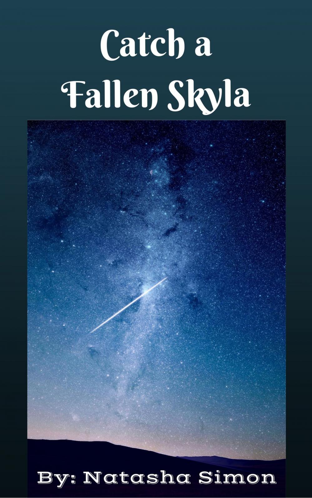 Big bigCover of Catch a Fallen Skyla