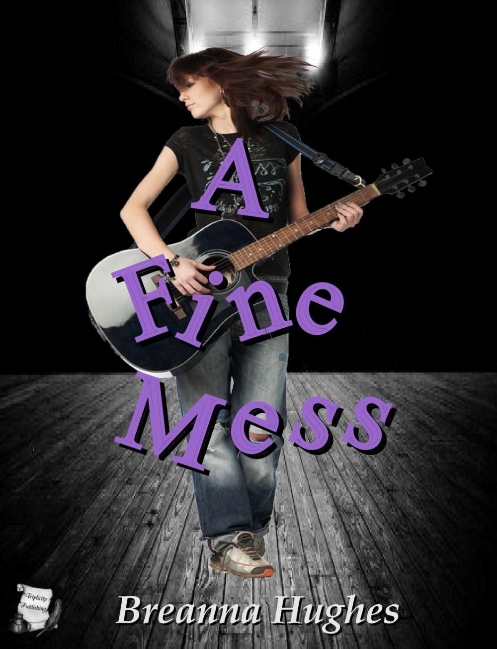 Big bigCover of A Fine Mess