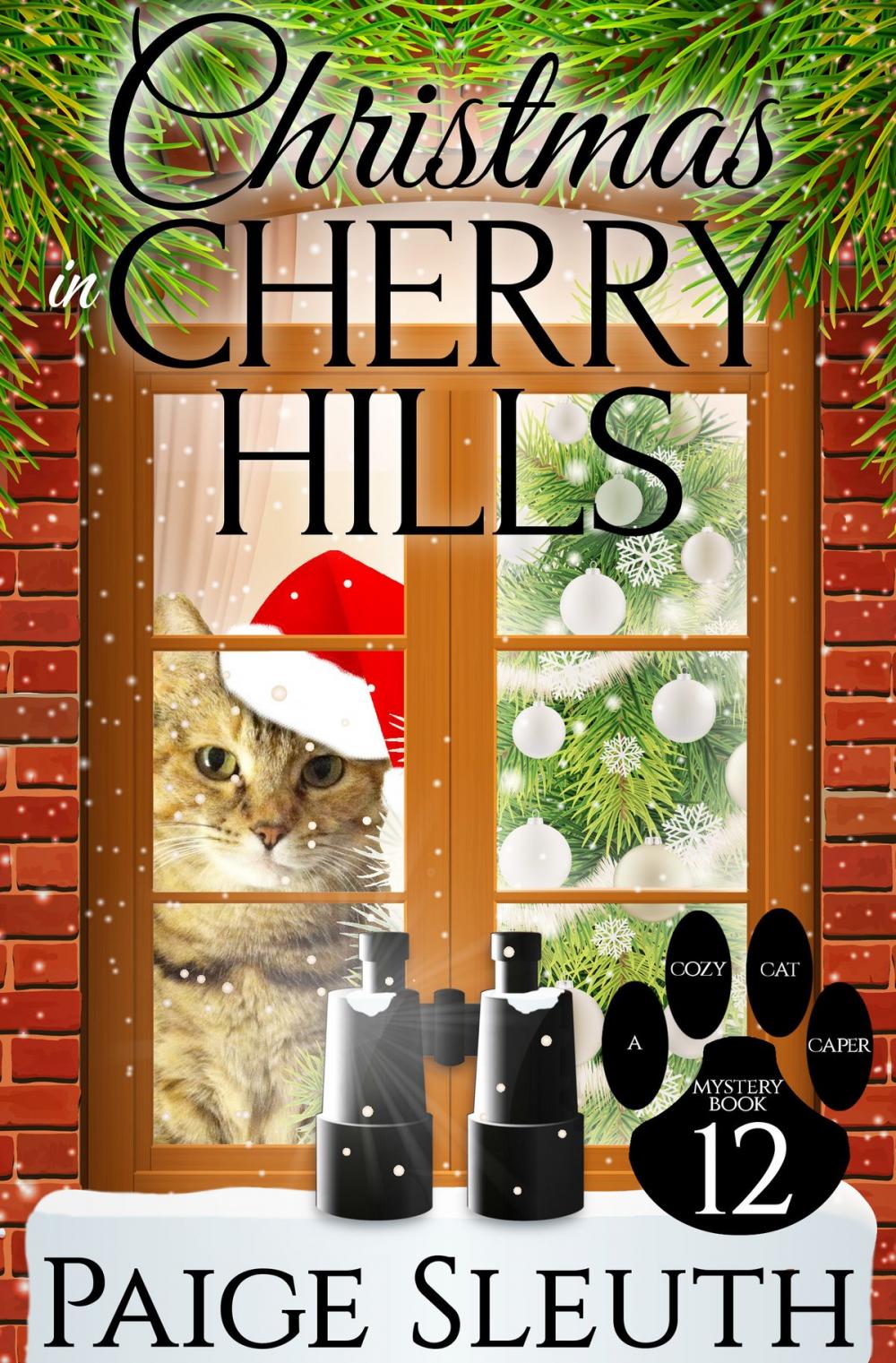 Big bigCover of Christmas in Cherry Hills