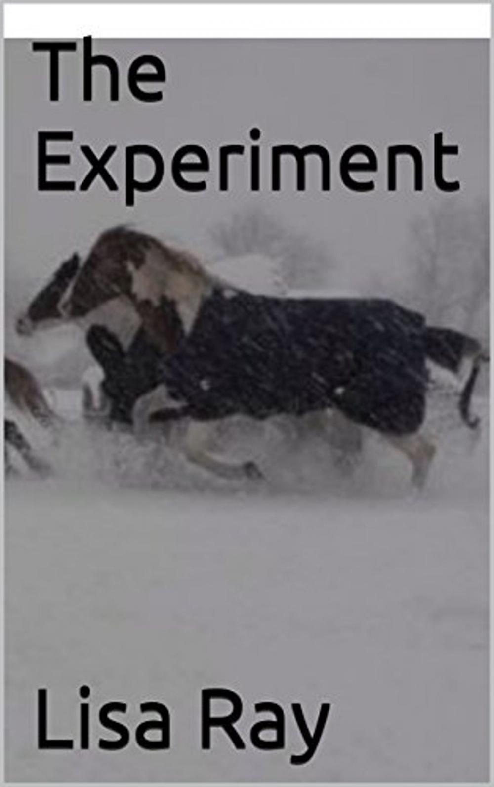 Big bigCover of The Experiment