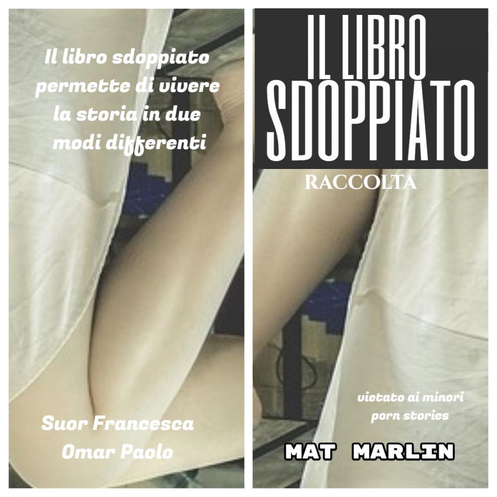 Big bigCover of Raccolta il libro sdoppiato (porn stories)