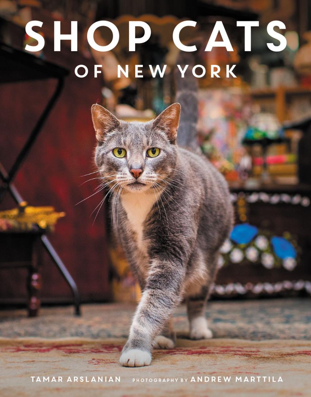 Big bigCover of Shop Cats of New York