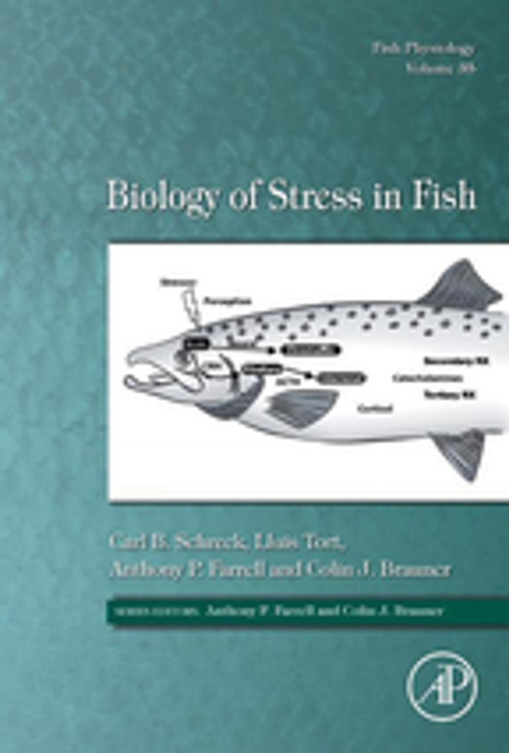 Big bigCover of Biology of Stress in Fish