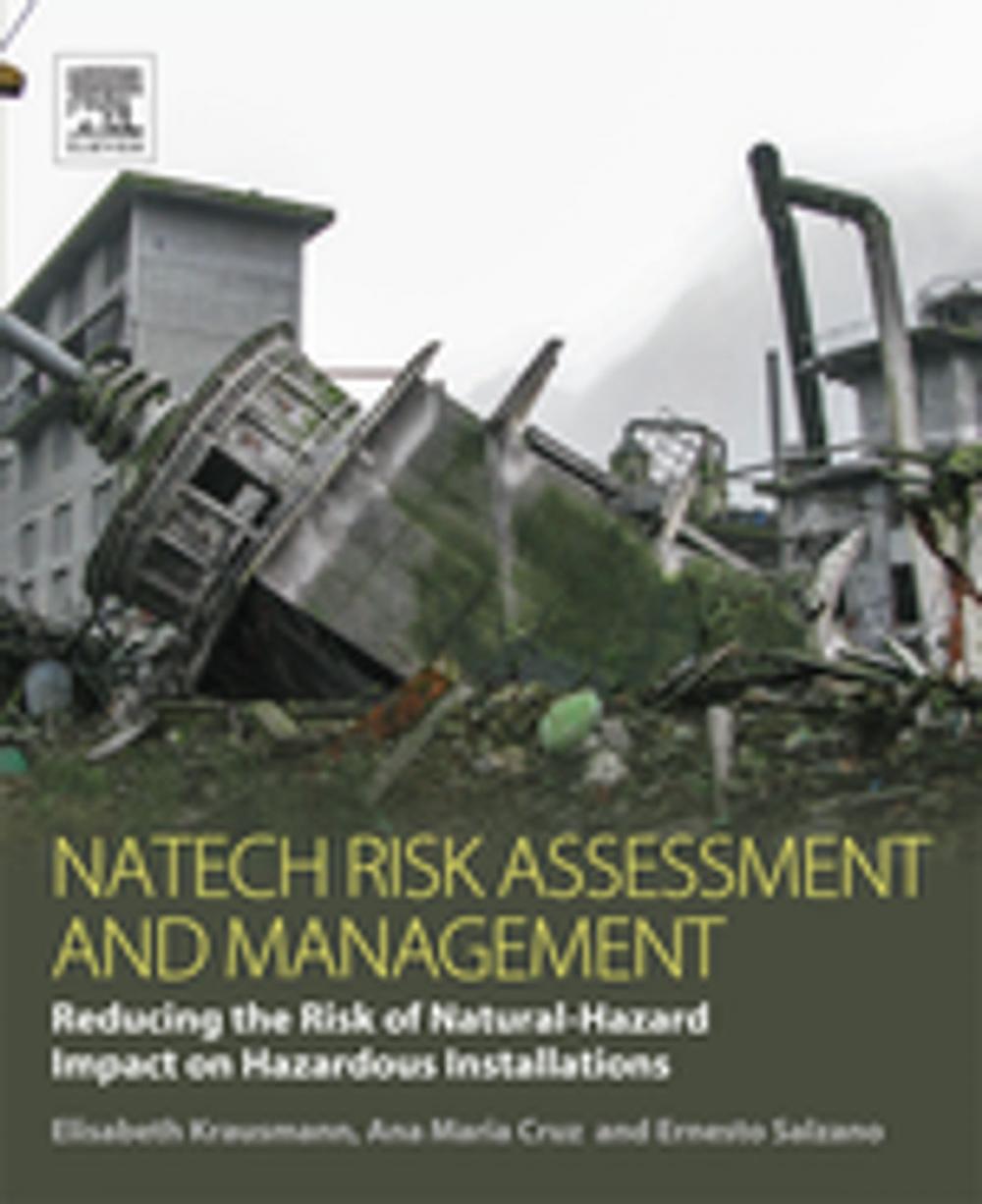 Big bigCover of Natech Risk Assessment and Management