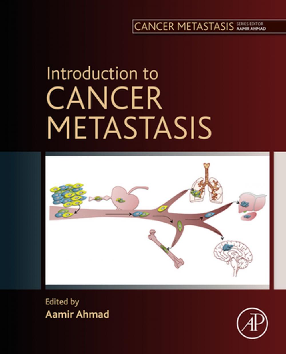 Big bigCover of Introduction to Cancer Metastasis