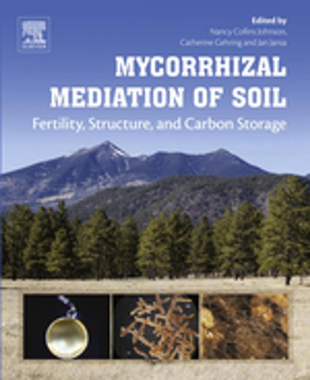 Big bigCover of Mycorrhizal Mediation of Soil