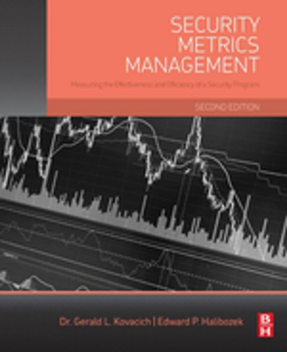 Big bigCover of Security Metrics Management