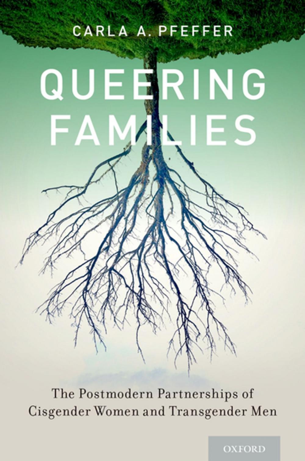 Big bigCover of Queering Families