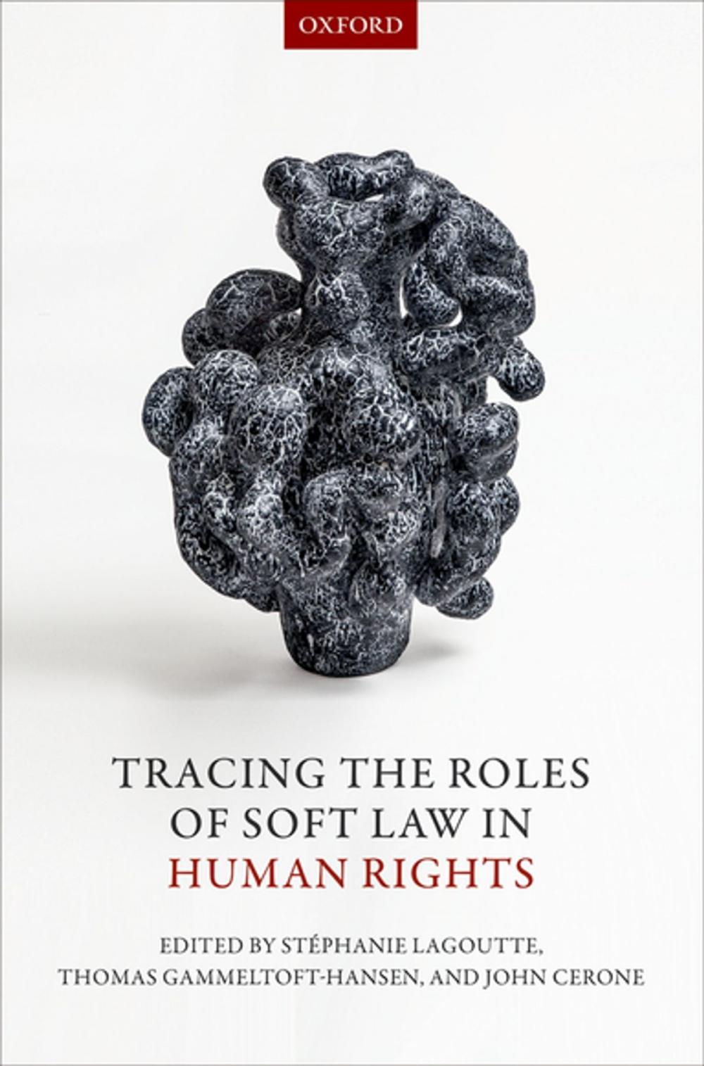 Big bigCover of Tracing the Roles of Soft Law in Human Rights