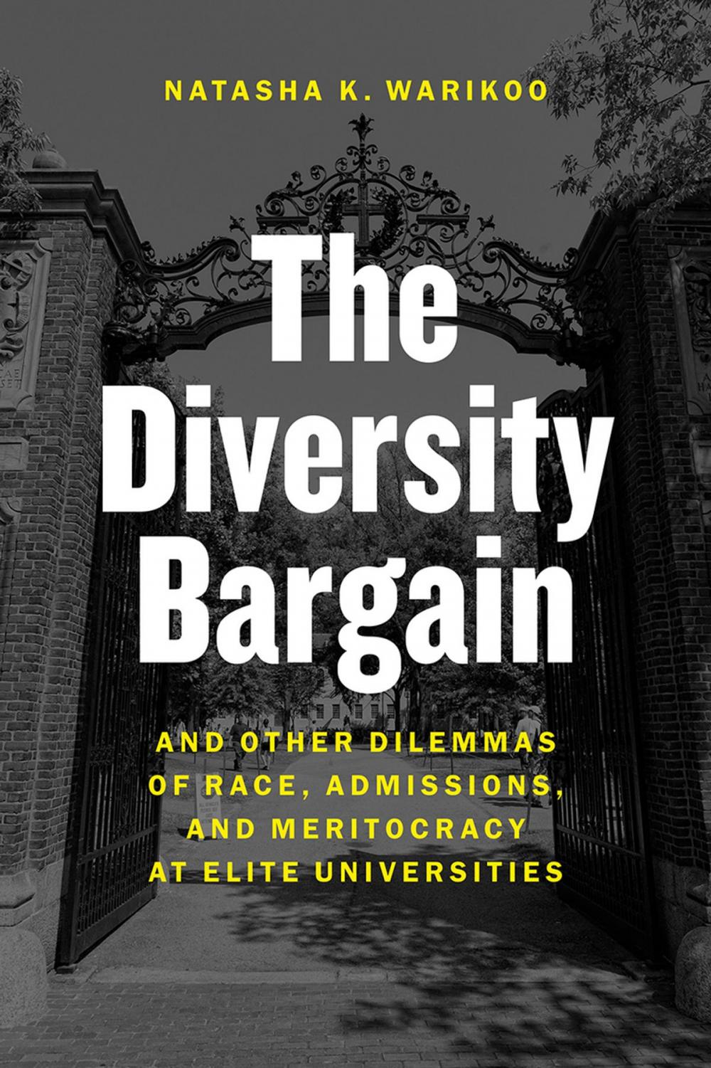 Big bigCover of The Diversity Bargain