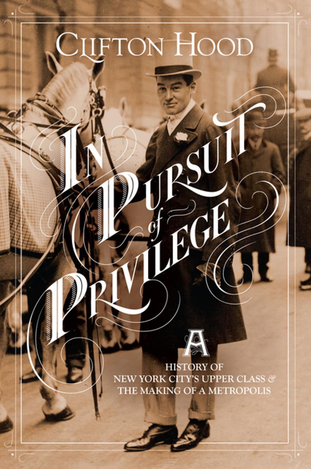 Big bigCover of In Pursuit of Privilege