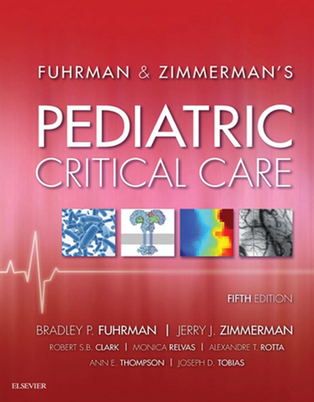 Big bigCover of Pediatric Critical Care E-Book