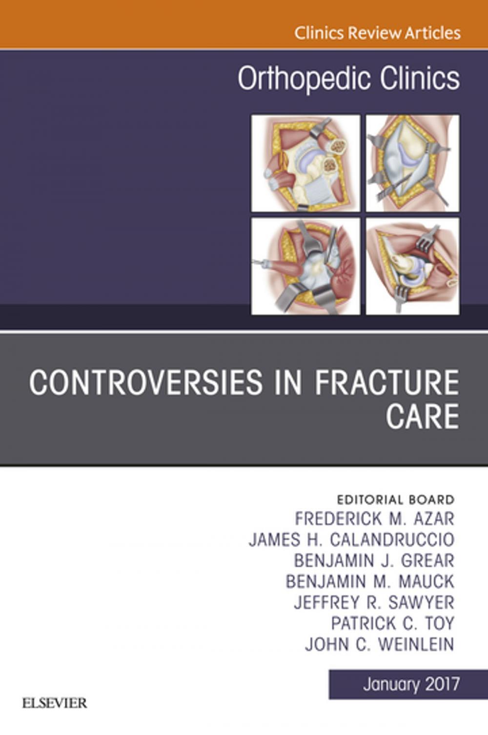 Big bigCover of Controversies in Fracture Care, An Issue of Orthopedic Clinics, E-Book