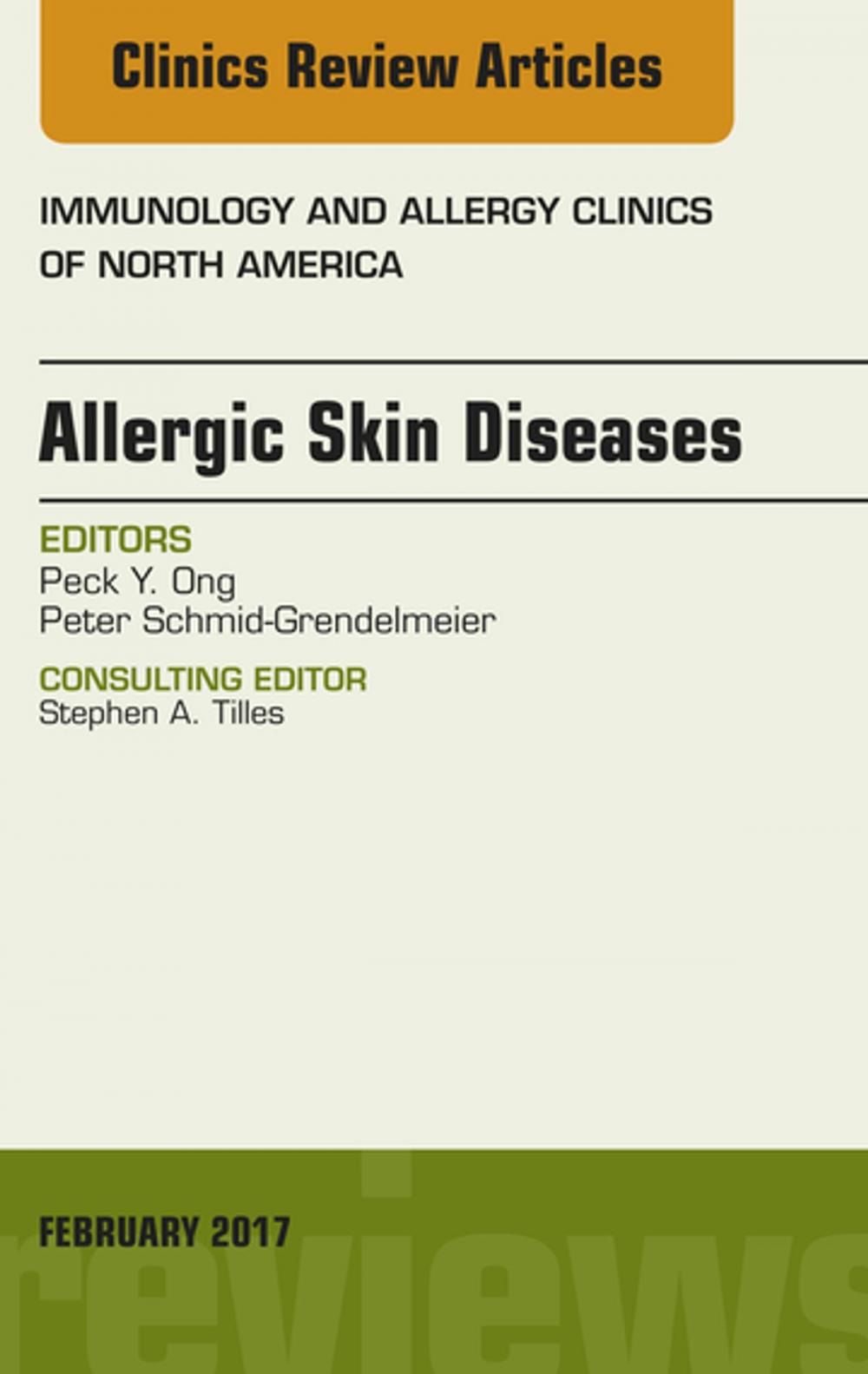 Big bigCover of Allergic Skin Diseases, An Issue of Immunology and Allergy Clinics of North America, E-Book