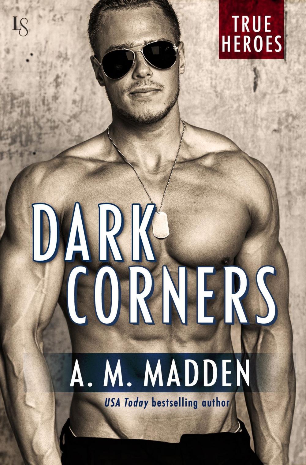 Big bigCover of Dark Corners