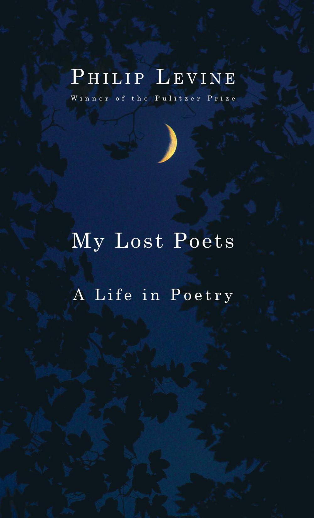 Big bigCover of My Lost Poets