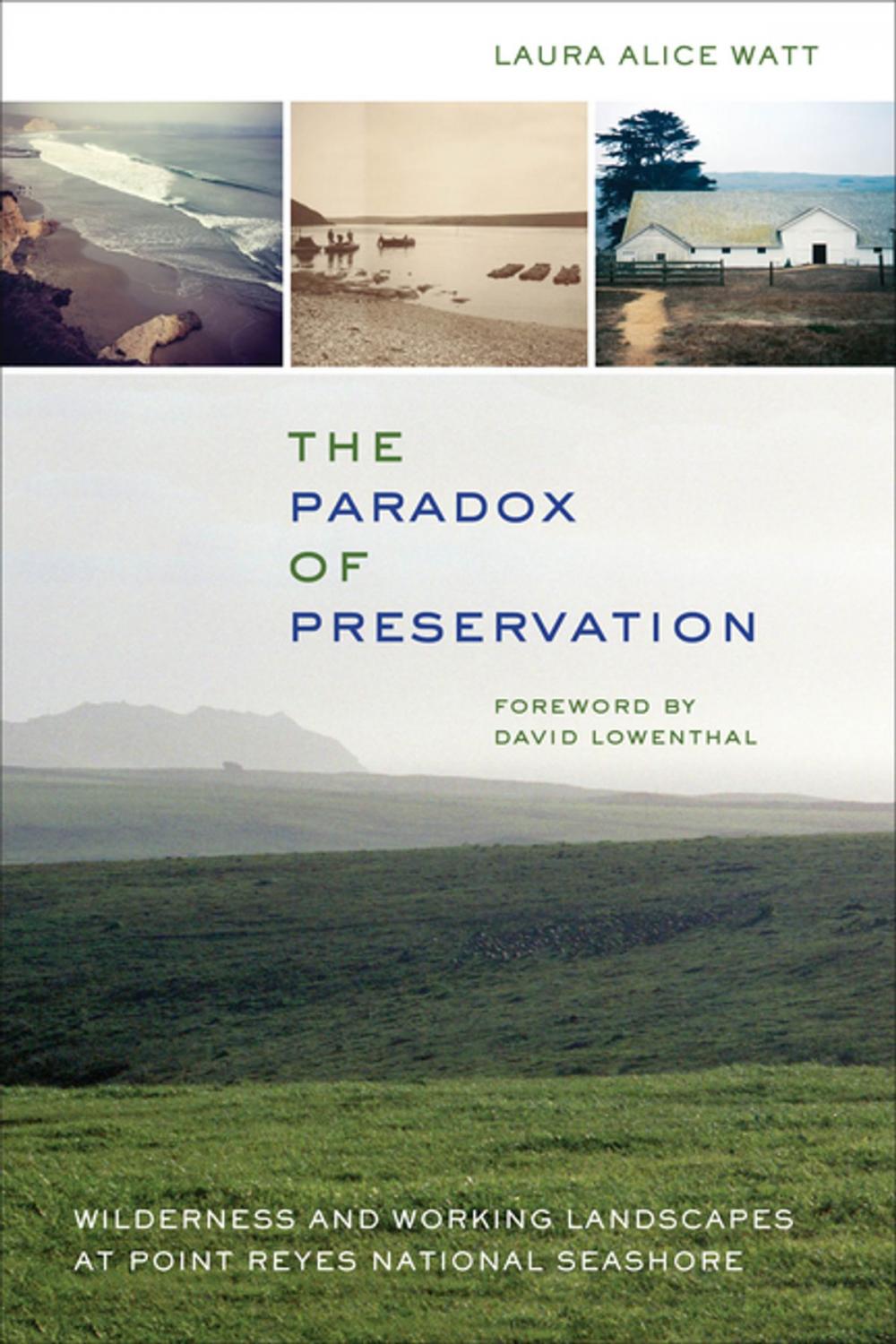 Big bigCover of The Paradox of Preservation