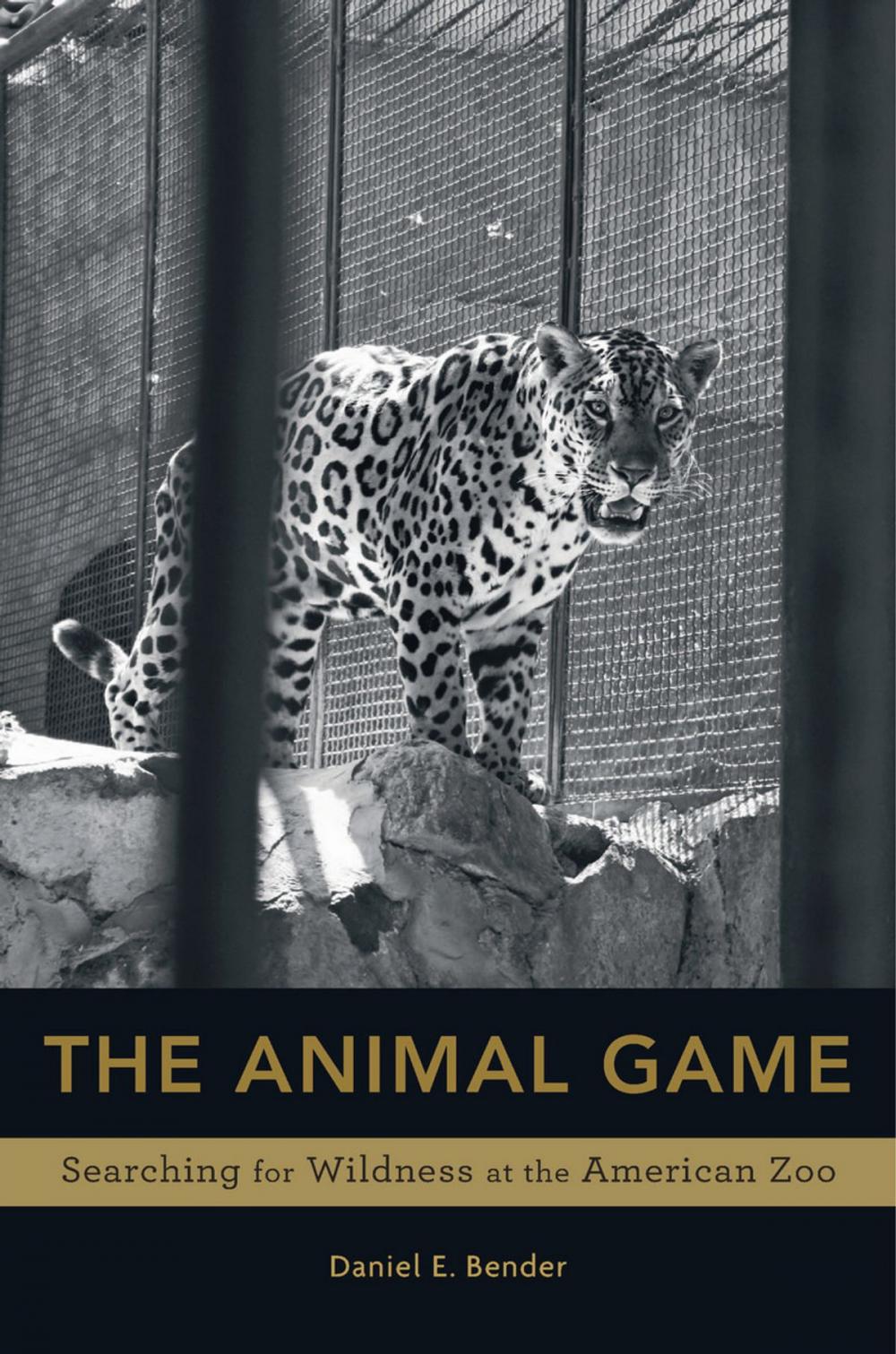 Big bigCover of The Animal Game