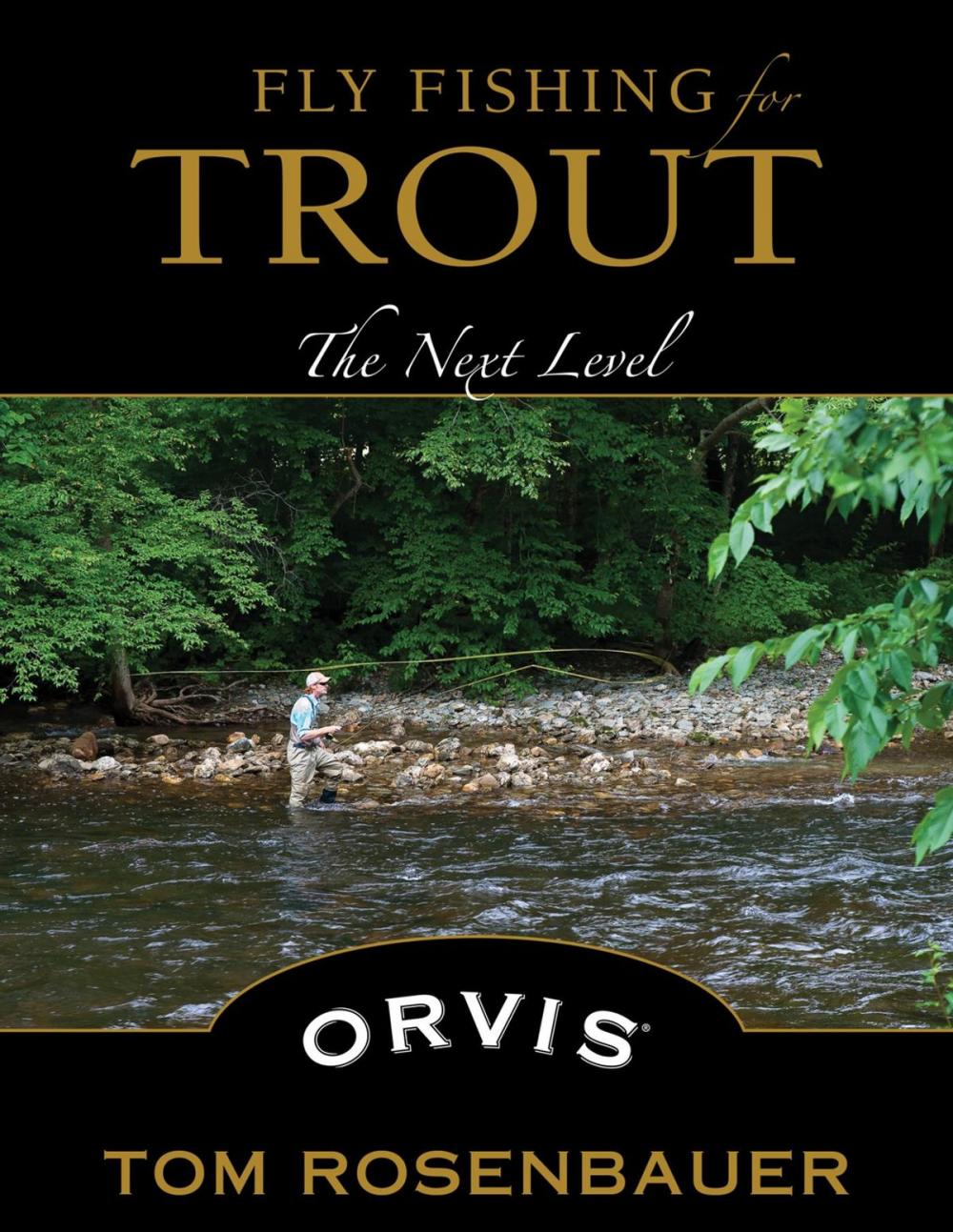 Big bigCover of Fly Fishing for Trout