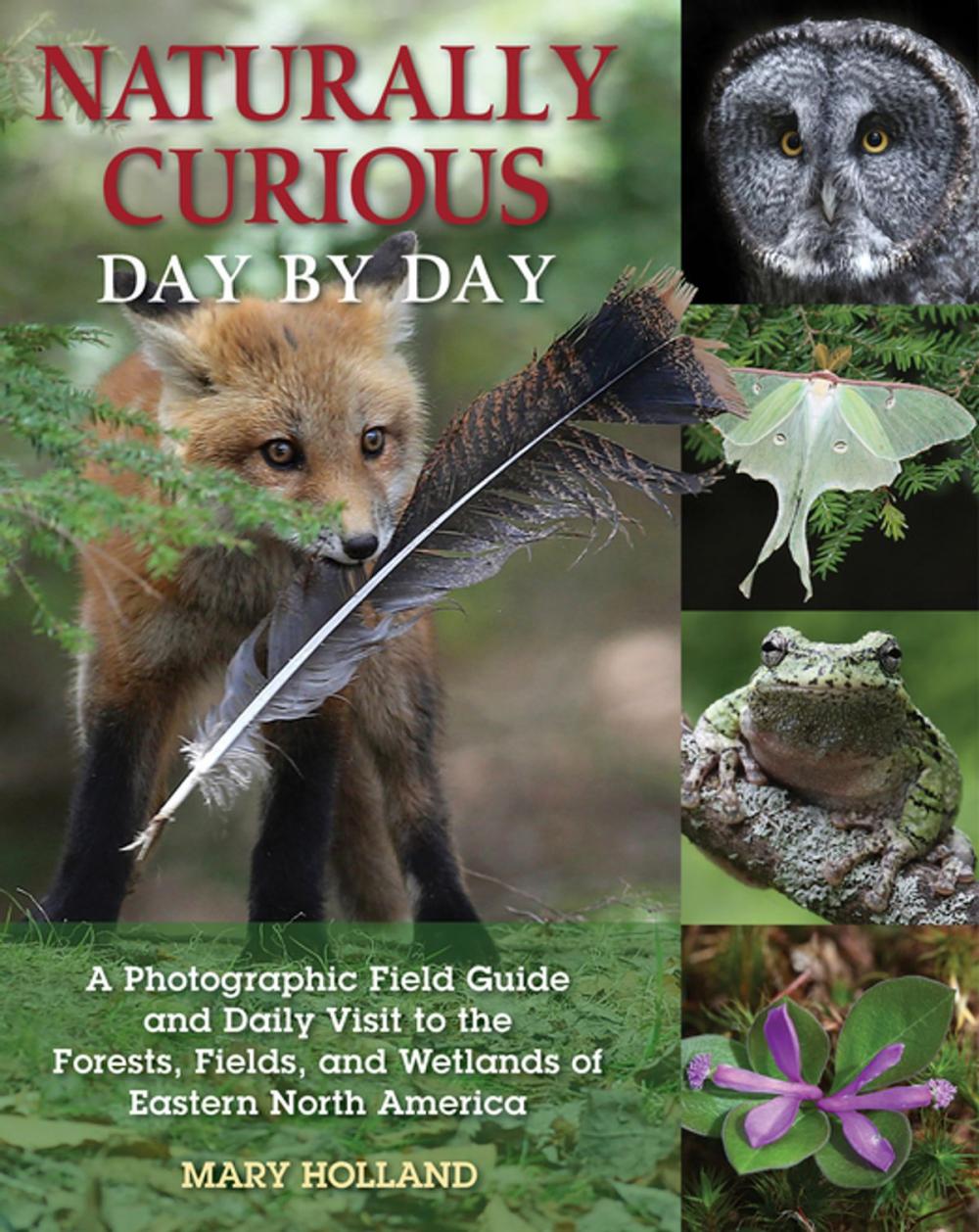 Big bigCover of Naturally Curious Day by Day