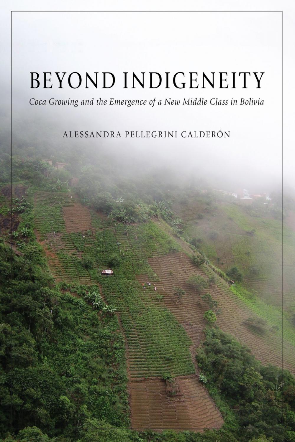 Big bigCover of Beyond Indigeneity