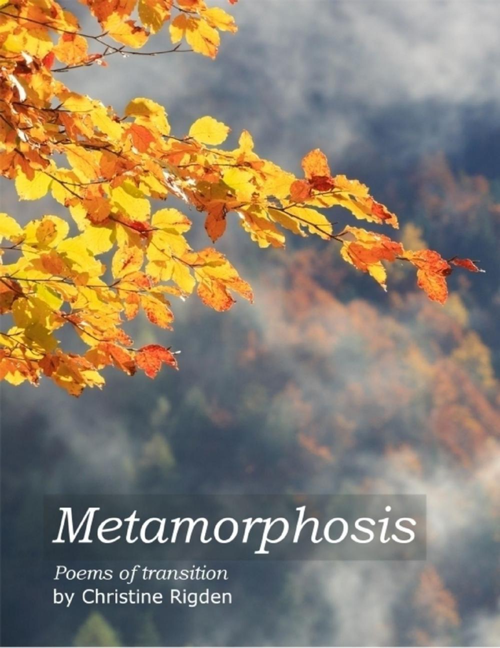 Big bigCover of Metamorphosis