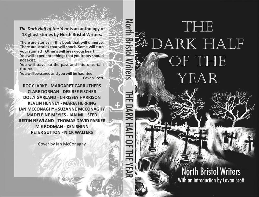 Big bigCover of The Dark Half of the Year