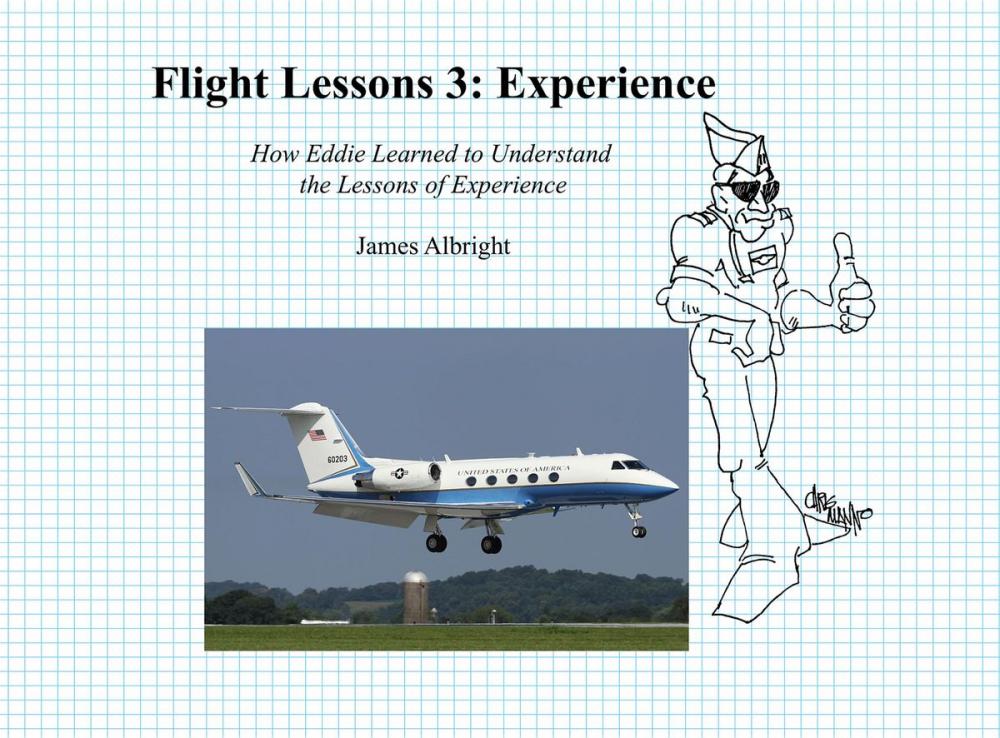 Big bigCover of Flight Lessons 3: Experience