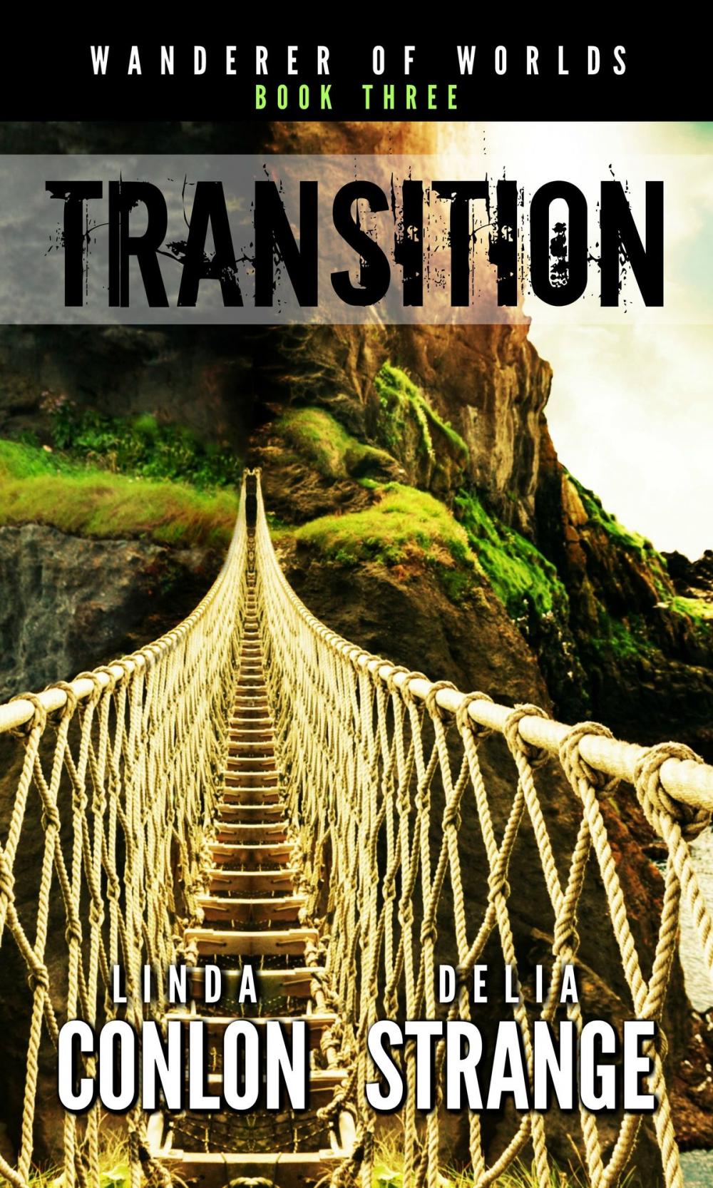 Big bigCover of Transition